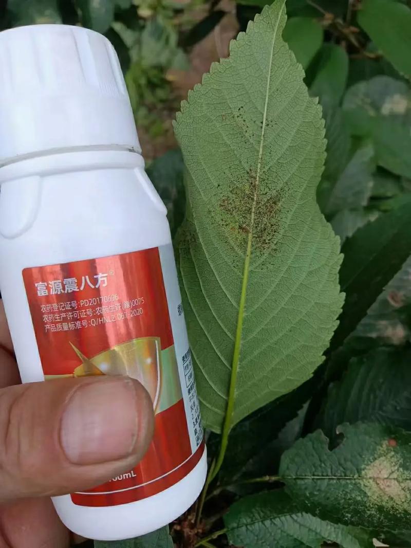 阿维螺螨酯 茶花螨与果树红白蜘蛛的防治利器