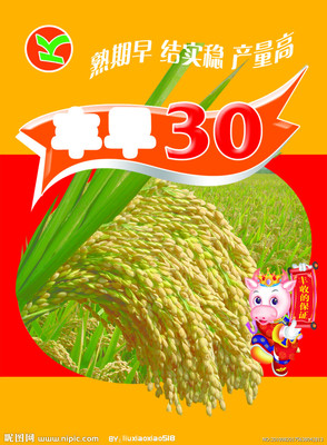 农药包装袋设计 功能、安全与环保的视觉平衡