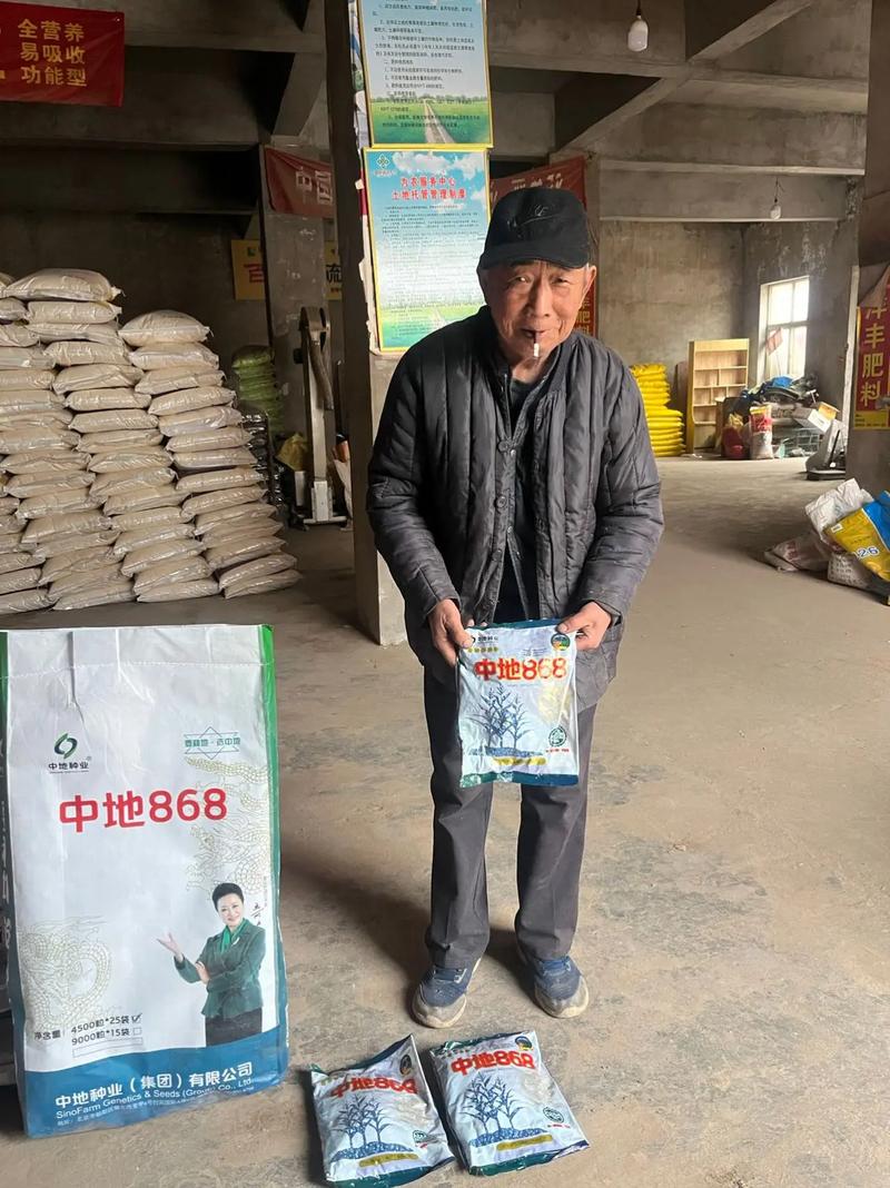 中地868 谁种谁发家的高产玉米品种解析