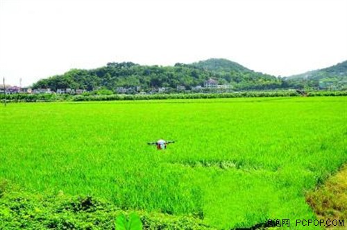 中山无人机喷农药 两小时搞定百亩农田的科技变革
